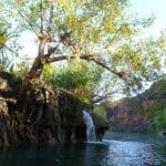 The falls at Boodjamulla (Lawn Hill) National Par. One of our Top 5 outback destinations.