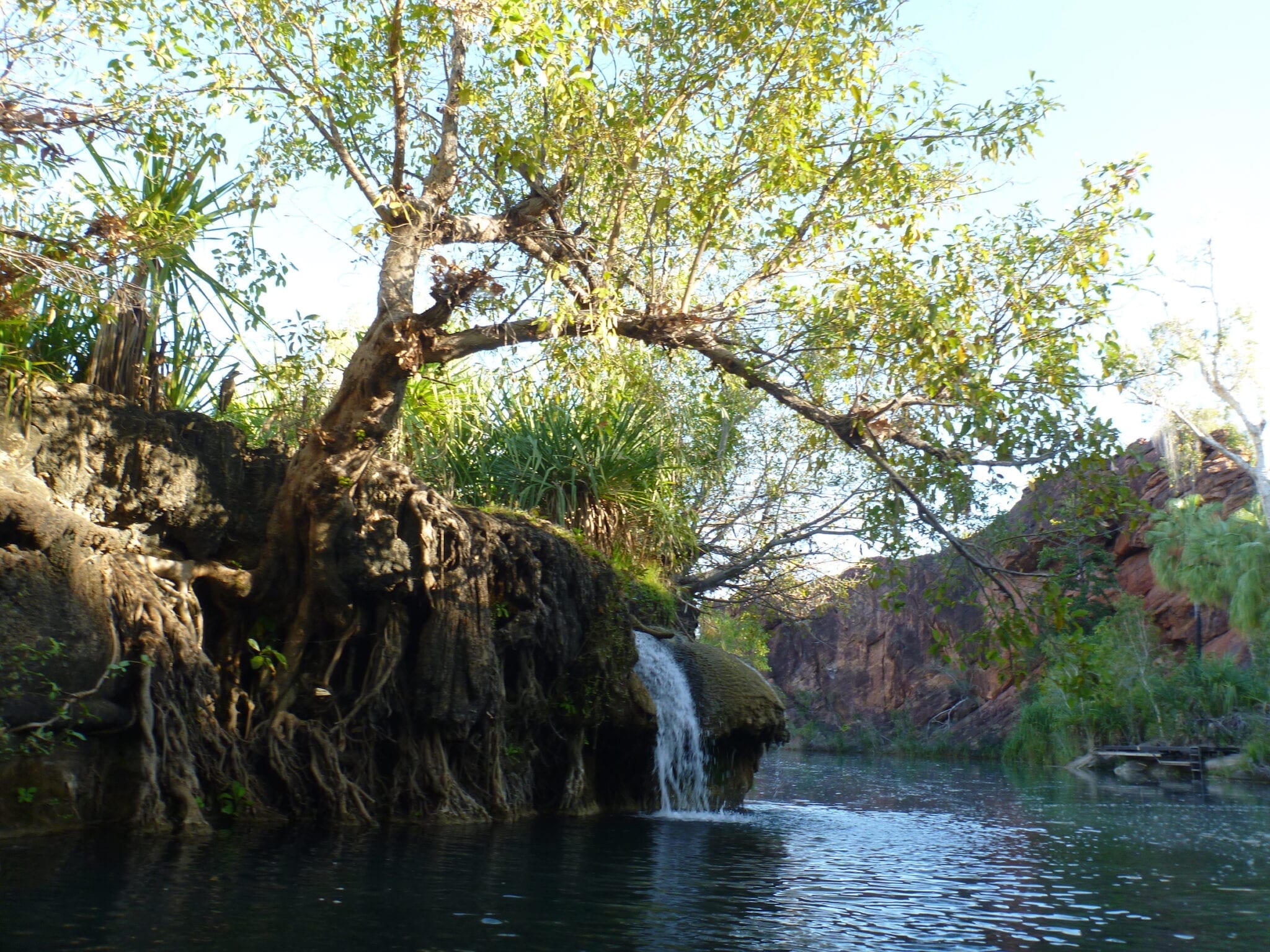 The falls at Boodjamulla (Lawn Hill) National Par. One of our Top 5 outback destinations.