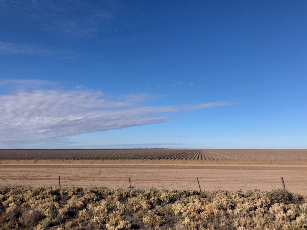 Endless cotton paddocks lie fallow on the Darling floodplain west of Bourke, waiting for the Darling River to flow again.