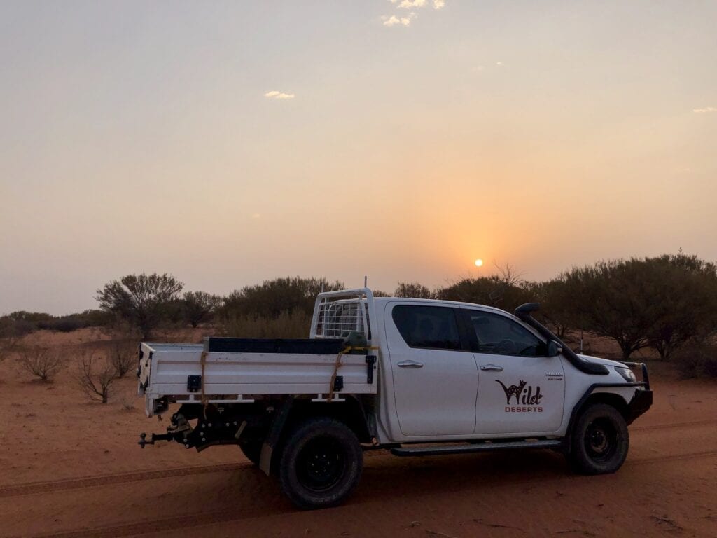 Driving out to start our spotlight check. Wild Deserts, Sturt National Park NSW. Part of our caretaker role.