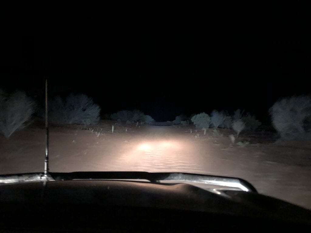 Driving along the NSW/SA dog fence while doing spotlight checks to determine kangaroo poulations. Sturt National Park, NSW. Part of our caretaker role.