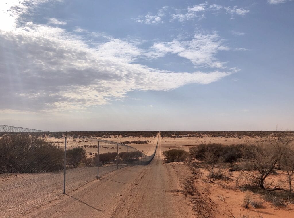 Checking the vermin/feral-proof fences at Wild Deserts, Sturt National Park NSW. Part of our caretaker role.