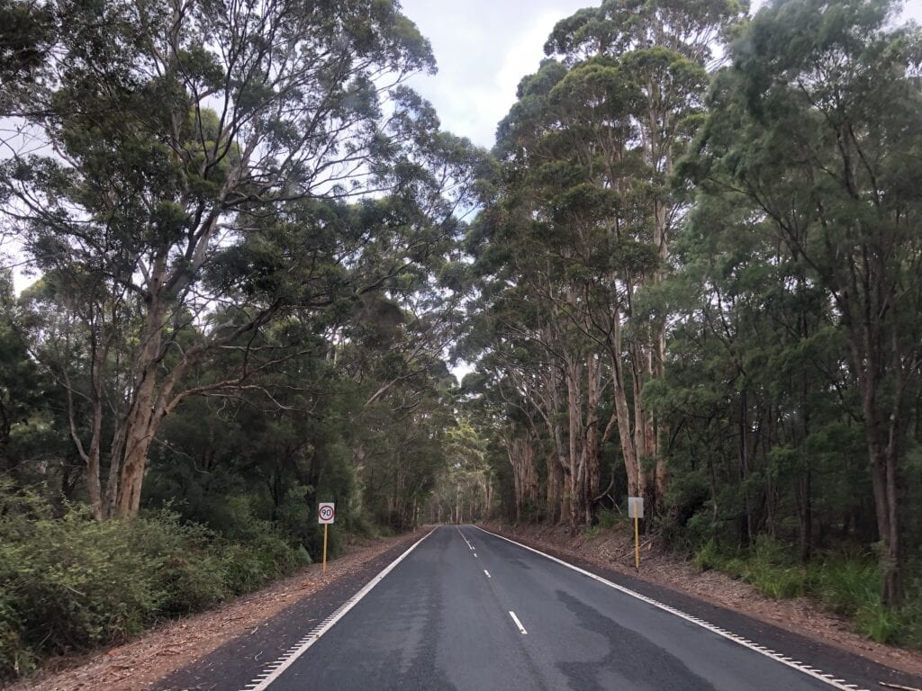 South-Western Highway heading north from Walpole.