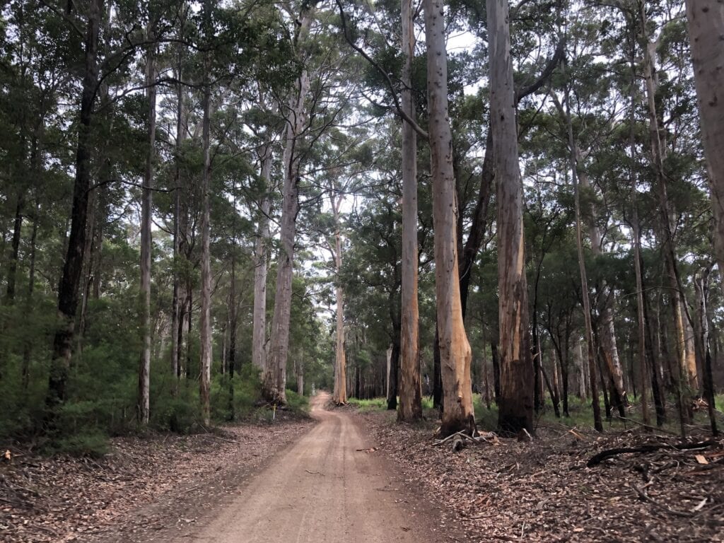 Broke Inlet Road, South-West Western Australia.