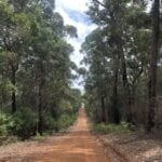 Chesapeake Road, South-West Western Australia.