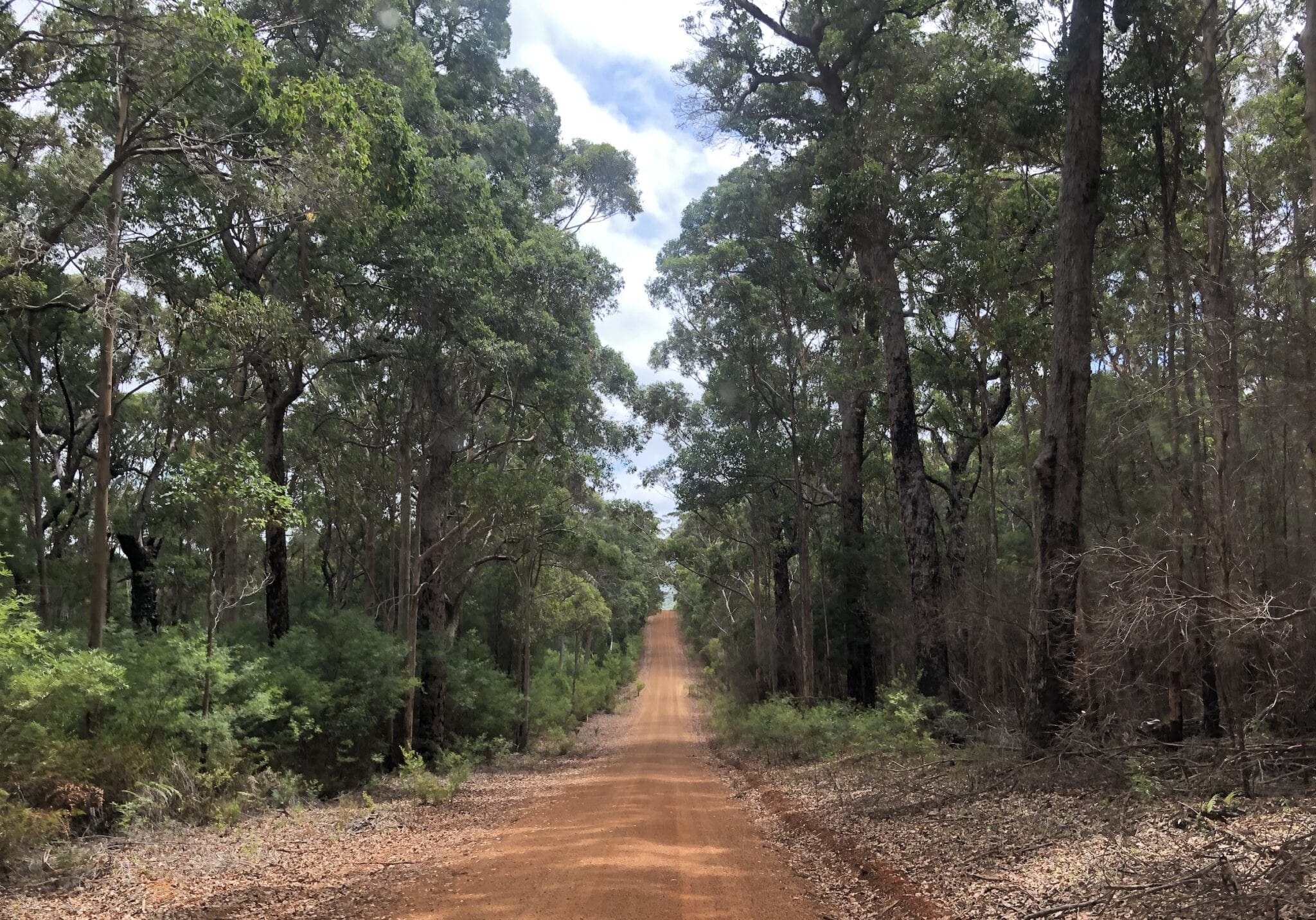 Chesapeake Road, South-West Western Australia.