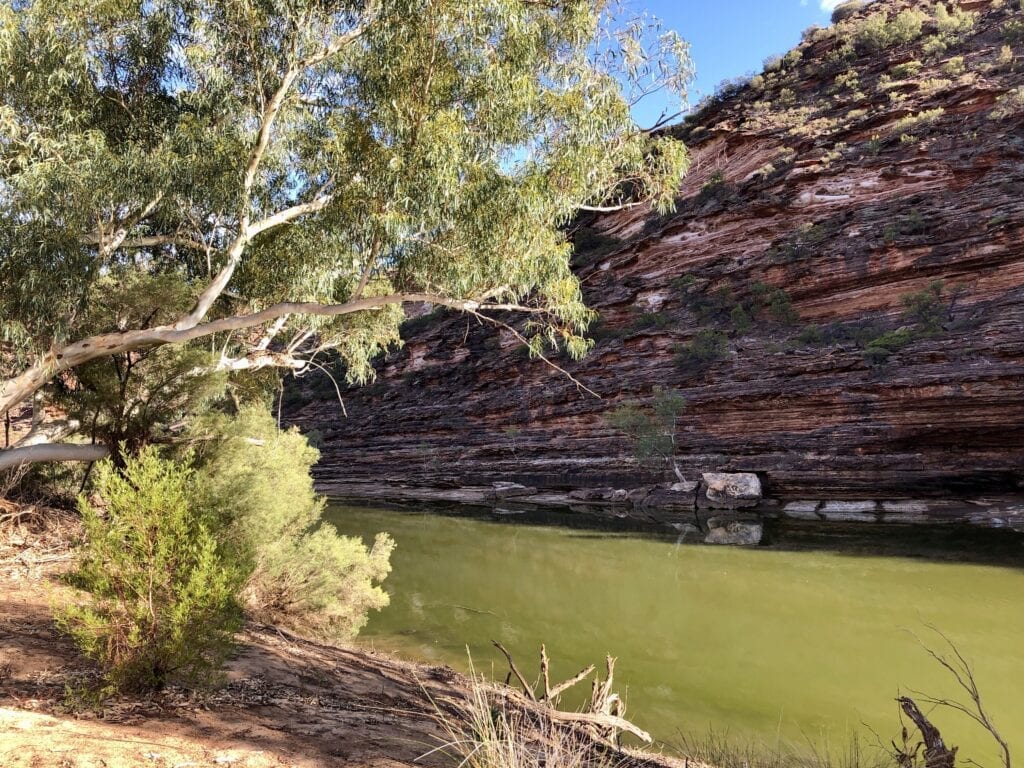 The Murchison River, Loop Walk Kalbarri National Park Western Australia.