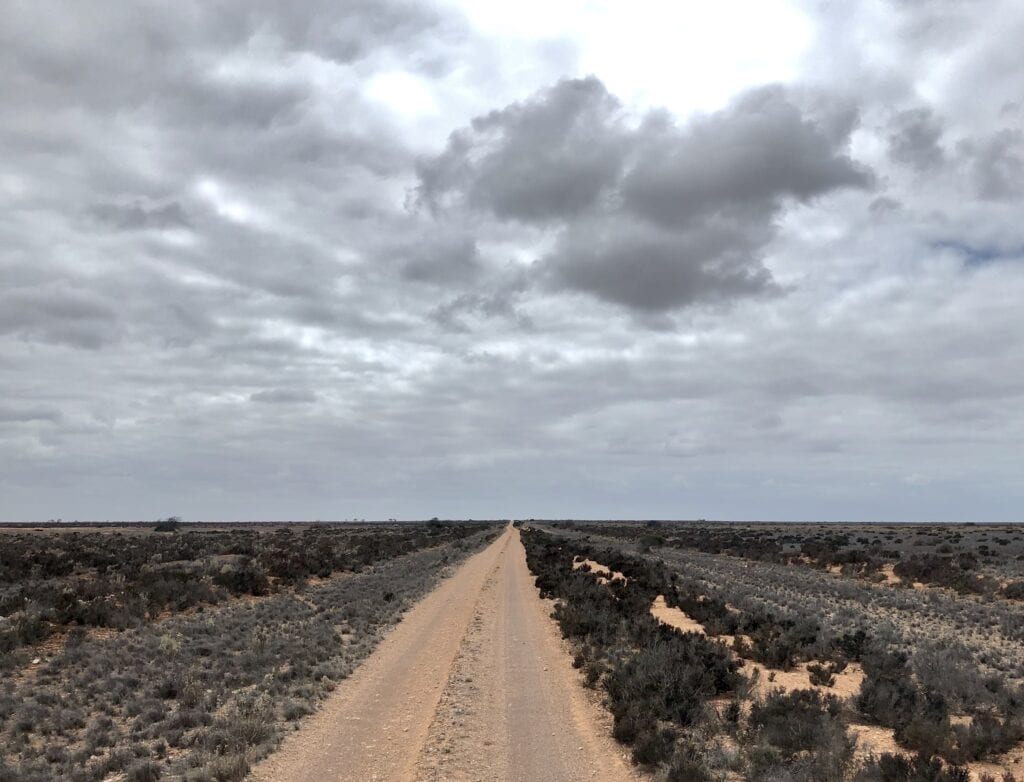 East of Koonalda Station, the country opens out to sparse saltbush country. Old Eyre Highway, Nullarbor Plain, SA.