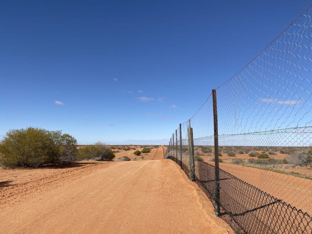 The dingo fence north of Smithville, far western NSW.