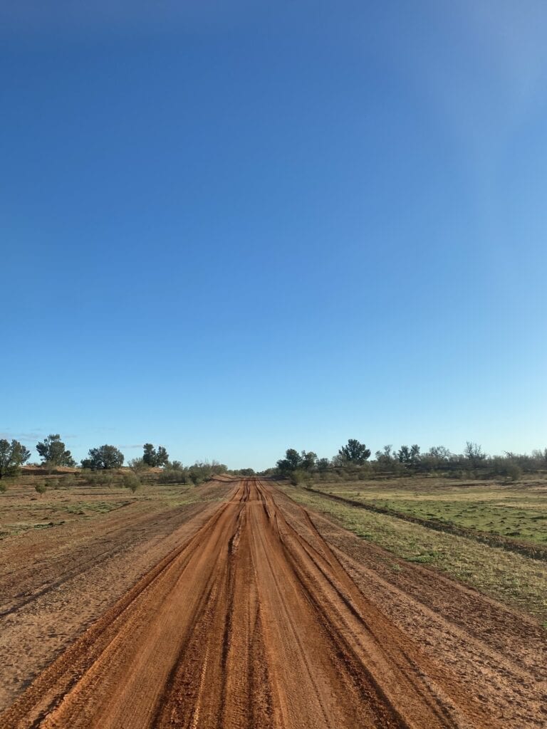 In sand dune country on Pine View Station, Corner Country NSW.