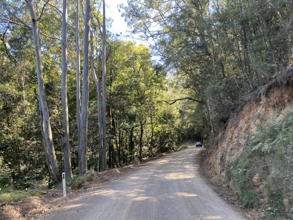 The drive through the mountains from the south, towards Ellenborough Falls in NSW.