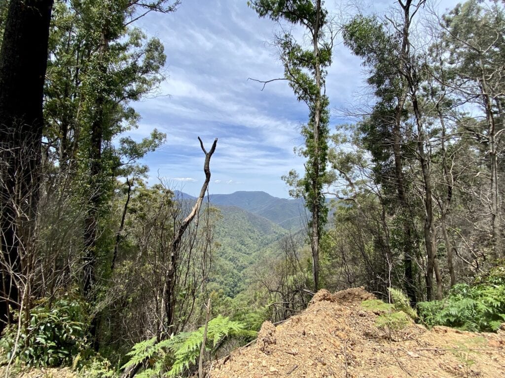 Fantastic views from the high ridgelines of the Oxley Wild Rivers National Park, NSW.