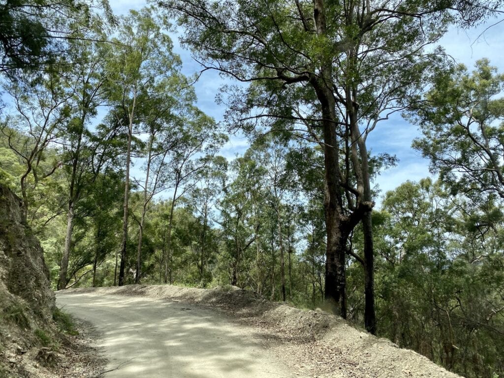 Steep mountain tracks and endless blind corners are the order of the day when you drive through Oxley Wild Rivers National Park, NSW.