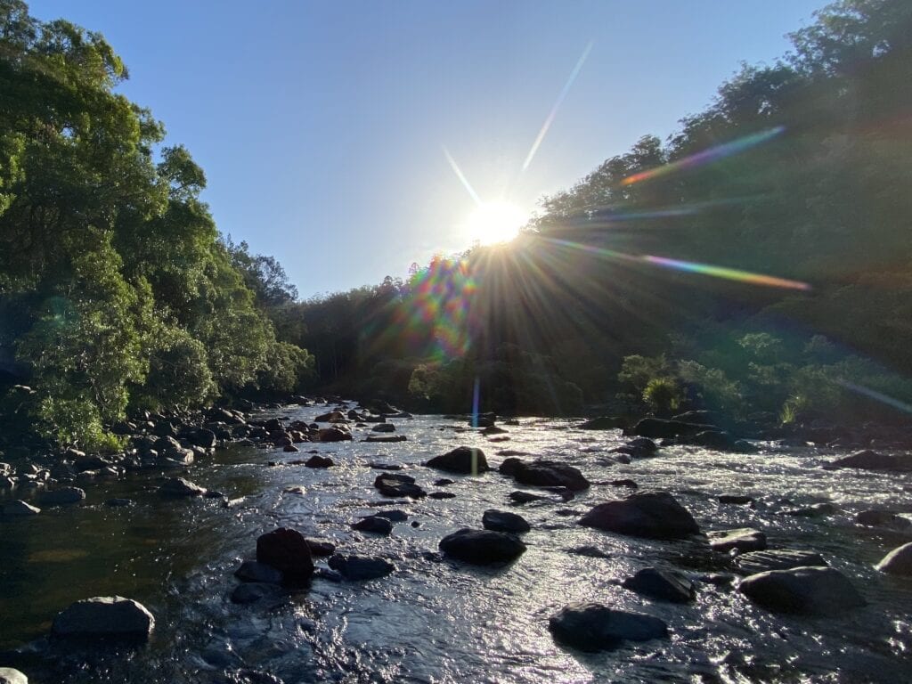 Late afternoon on the Nymboida River. Platypus Flat campground, Nymboi Binderay National Park, northern NSW.