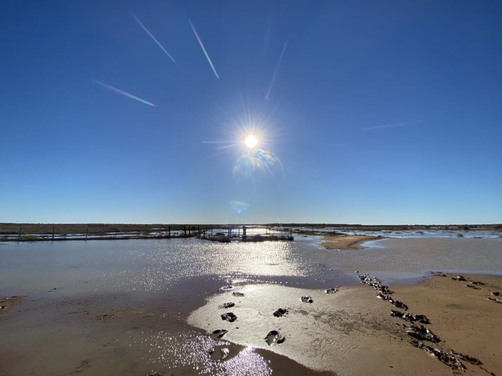 Haddon Corner, QLD surrounded by large pools of water. An unusual sight.