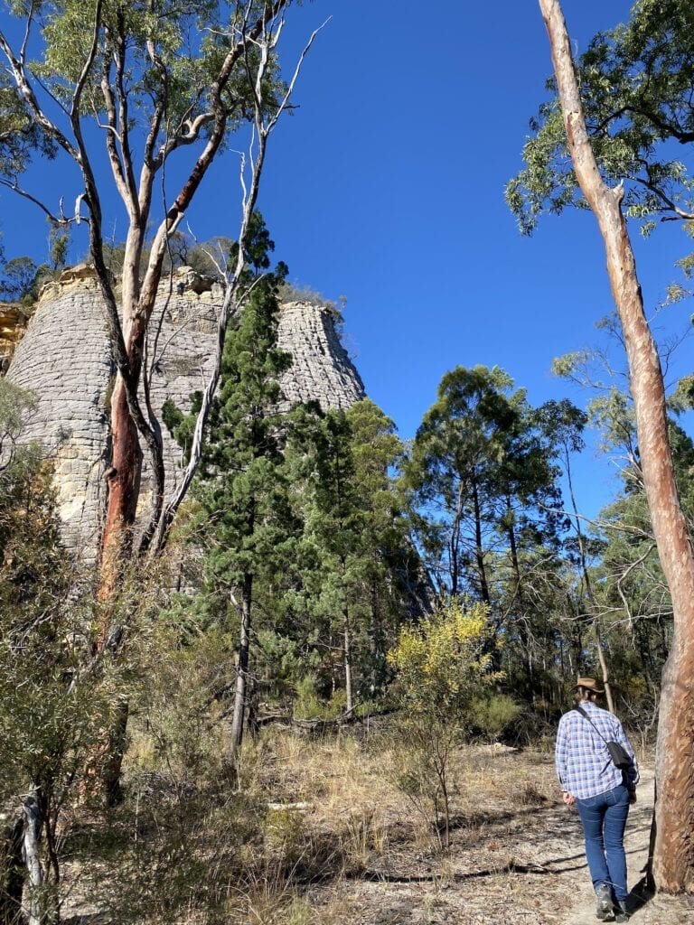 The tiled pattern on Cathedral Rock at Mount Moffatt, Carnarvon Gorge National Park, QLD.