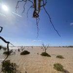 Water in Lake Pinaroo, Sure National Park NSW.