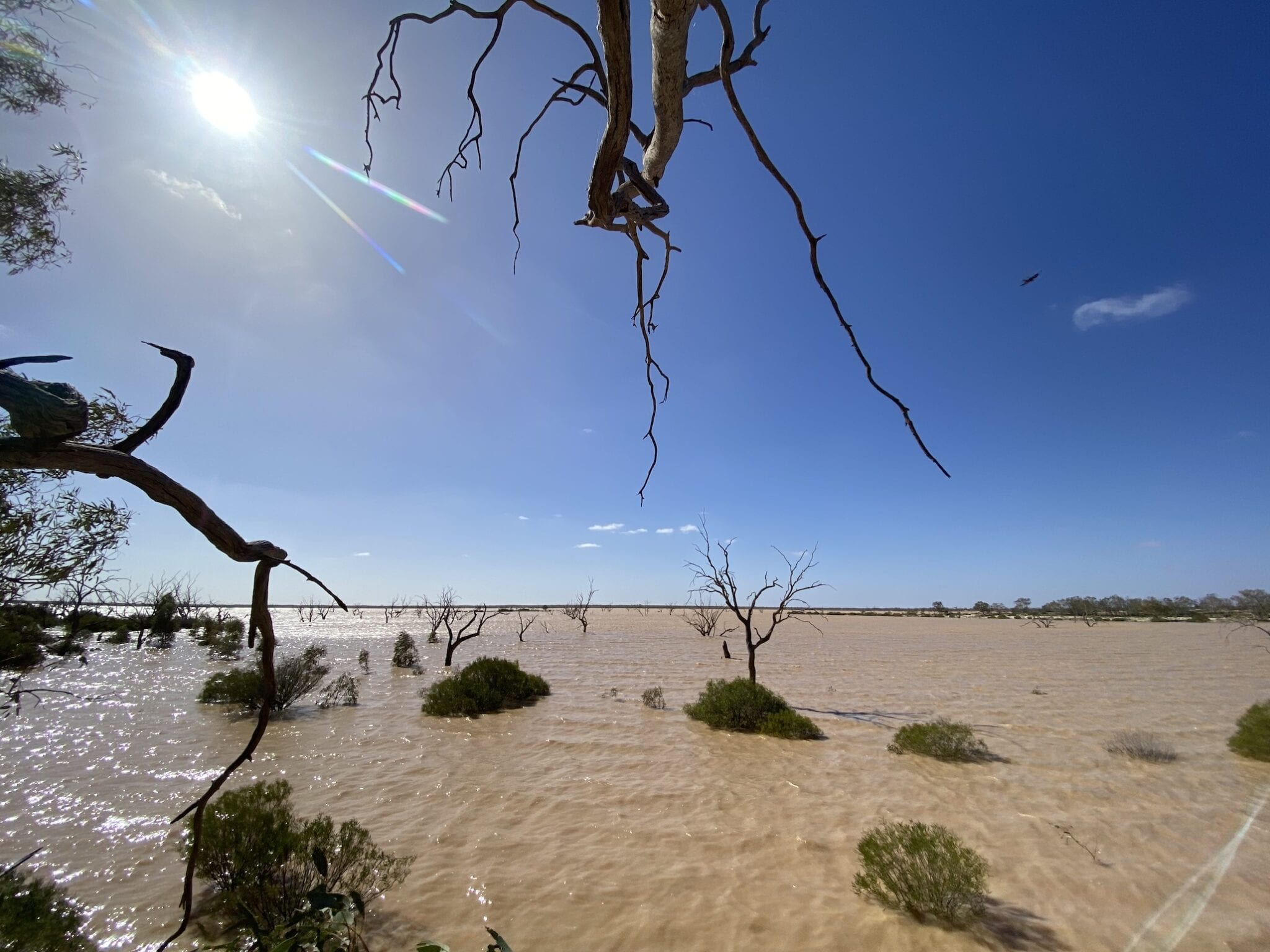 Water in Lake Pinaroo, Sure National Park NSW.