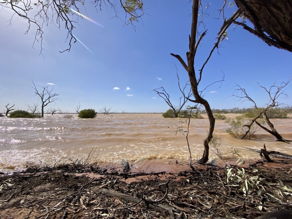 The shoreline of Lake Pinaroo, Sturt National Park NSW.