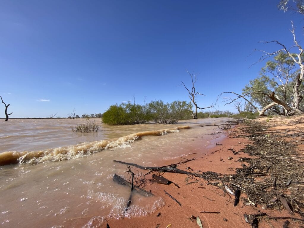 The red sand at the shoreline of Lake Pinaroo in Sturt National Park, NSW.