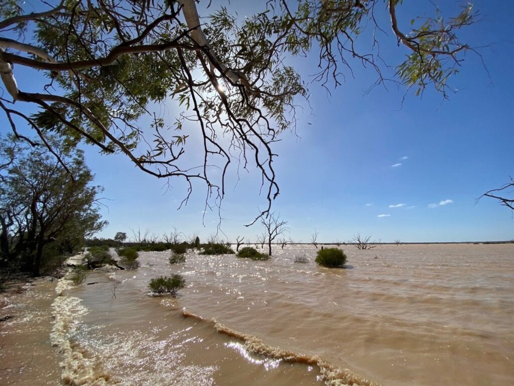 Waves lapping the shore of Lake Pinaroo, Sturt National Park NSW.