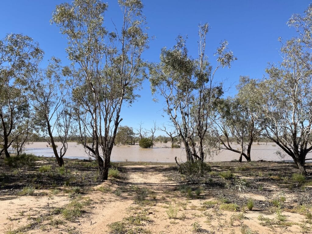 The walking track across the bed of Lake Pinaroo, under water.