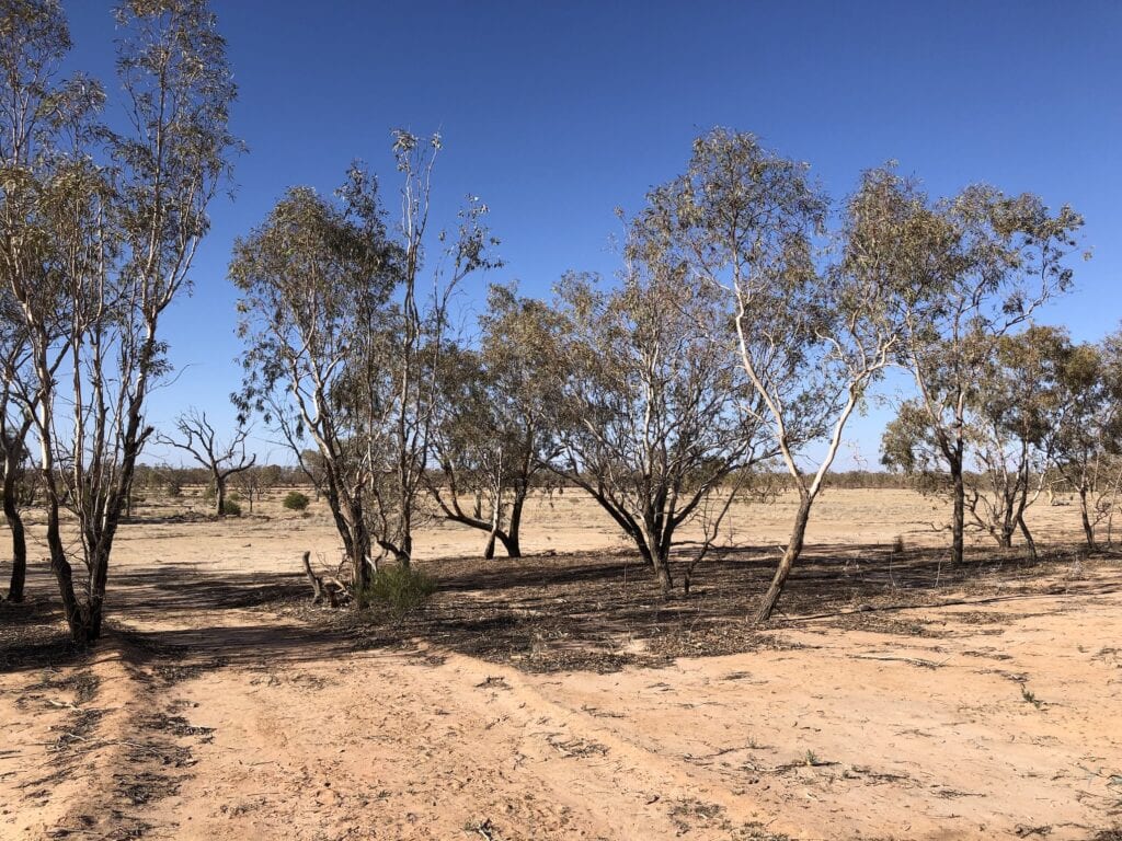 The dry lakebed of Lake Pinaroo before it filled.