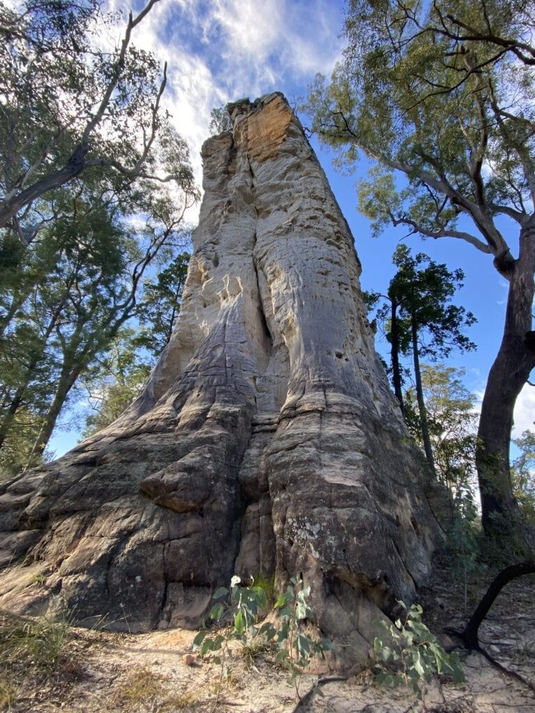 Lots Wife at Mount Moffatt, Carnarvon Gorge National Park, QLD.