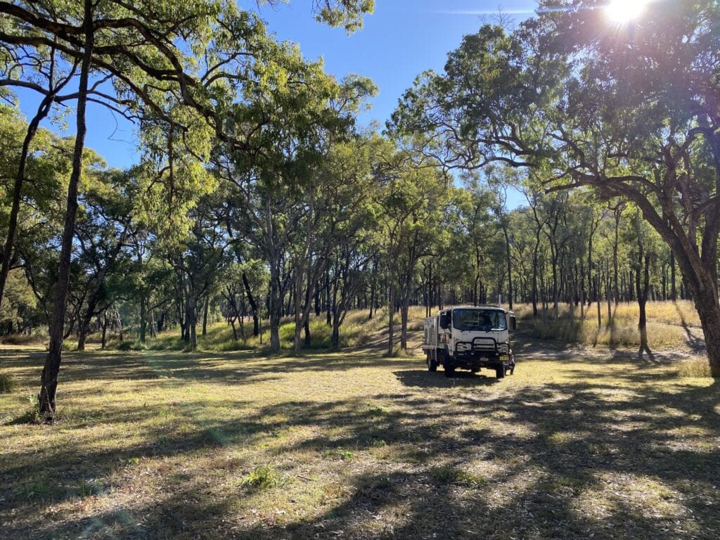 Top Moffatt campground at Mount Moffatt, Carnarvon Gorge National Park, QLD.