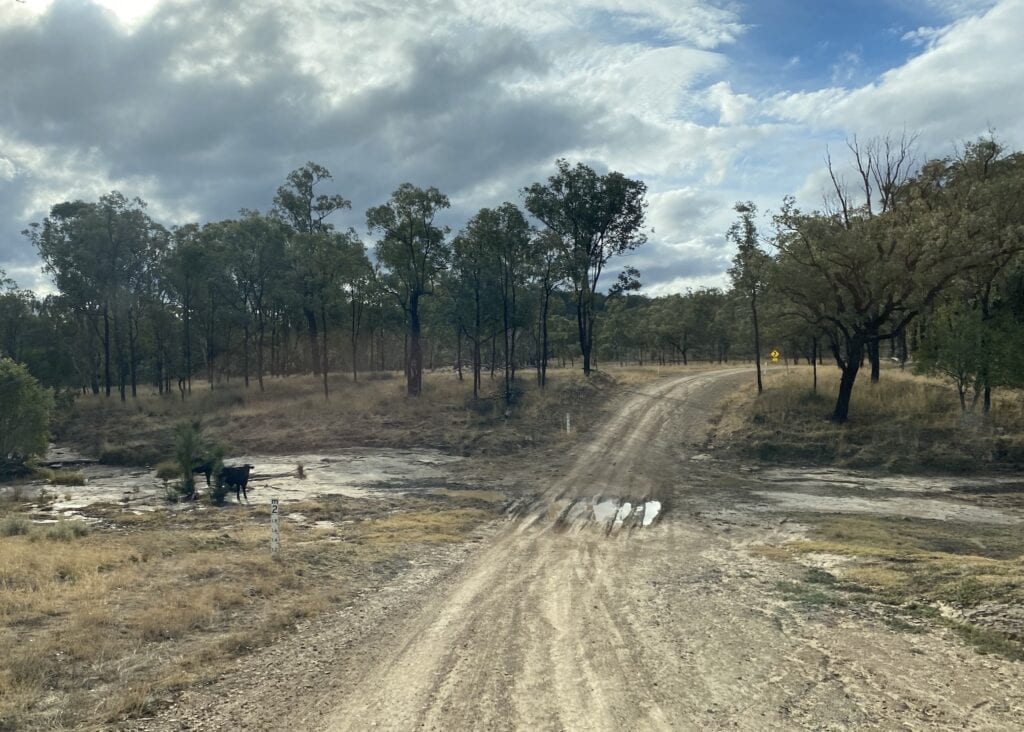 Crossing the Maranoa River on the drive into Mount Moffatt, Carnarvon Gorge National Park, QLD.