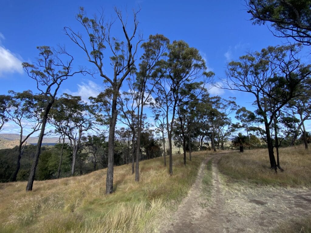 The panoramic view from the Rotary Shelter Shed campground at Mount Moffatt, Carnarvon Gorge National Park, QLD.