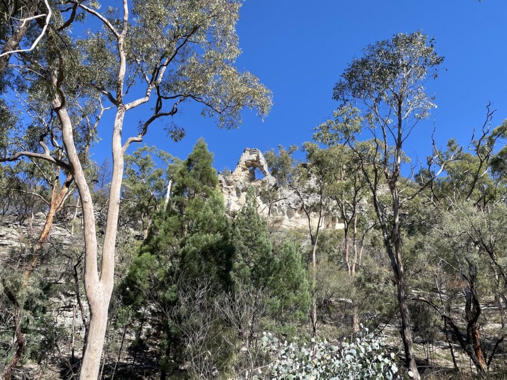 The Looking Glass at Mount Moffatt, Carnarvon Gorge National Park, QLD.