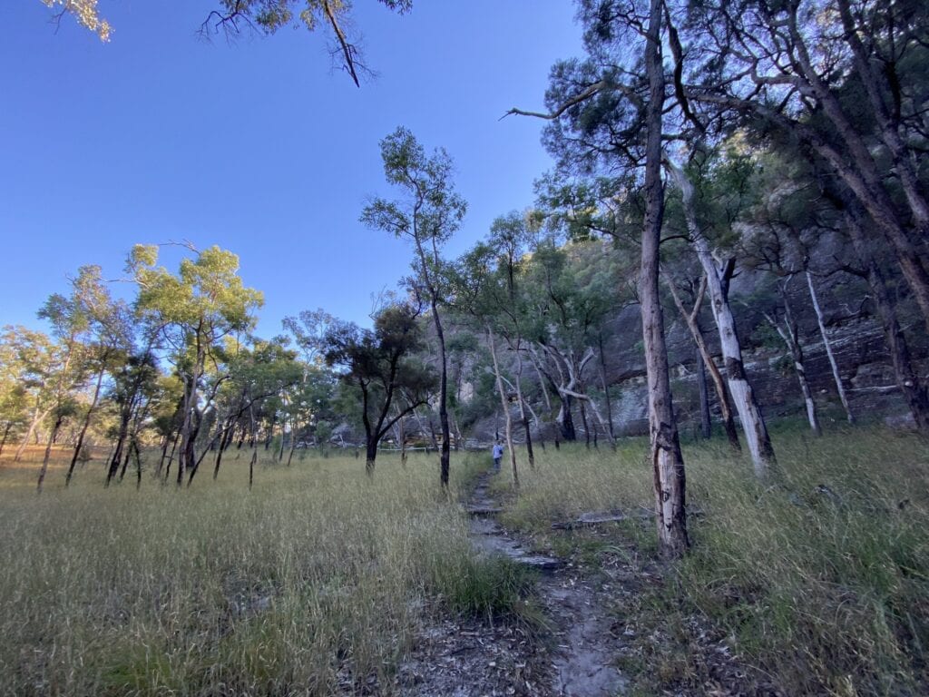 The enormous sandstone bluff of The Tombs at Mount Moffatt, Carnarvon Gorge National Park, QLD.