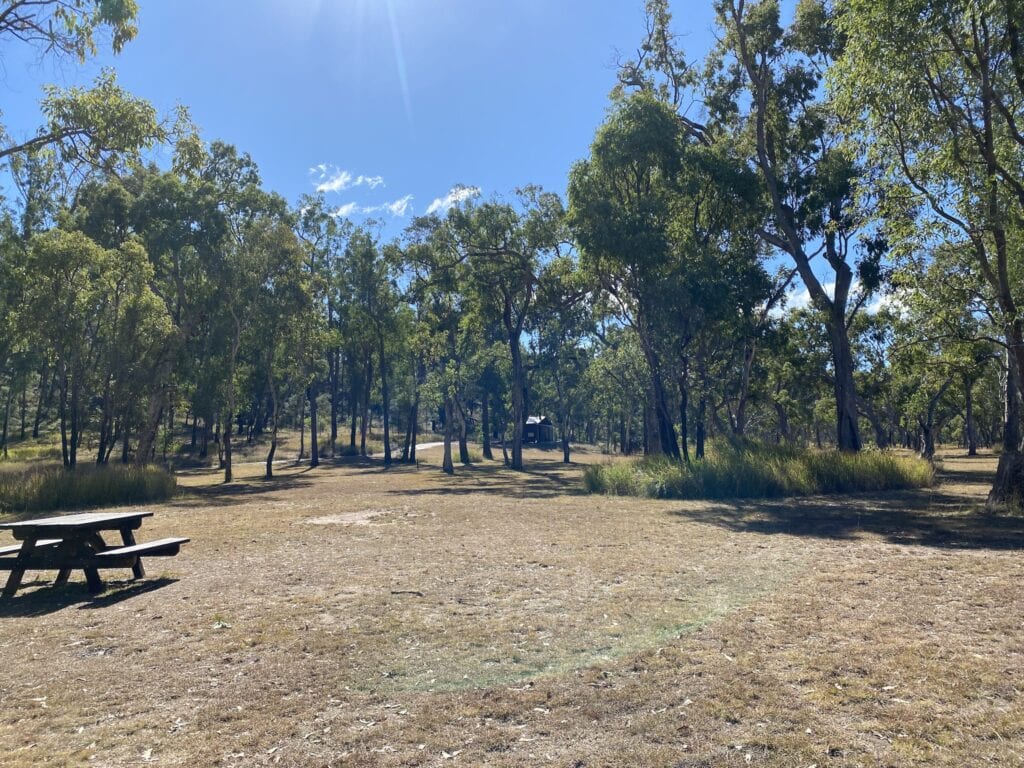 West Branch campground at Mount Moffatt, Carnarvon Gorge National Park, QLD.