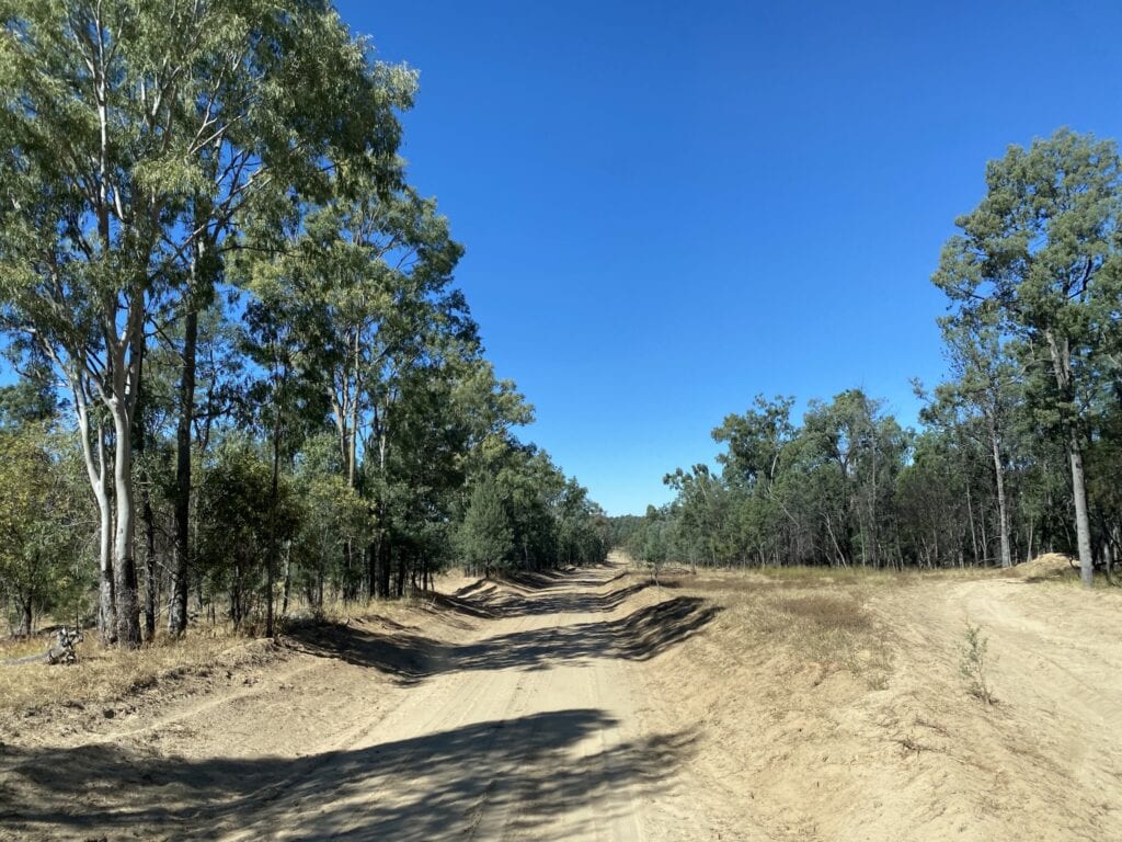 A sandy section of Westgrove Road on the way to Mount Moffatt, Carnarvon Gorge National Park, QLD.