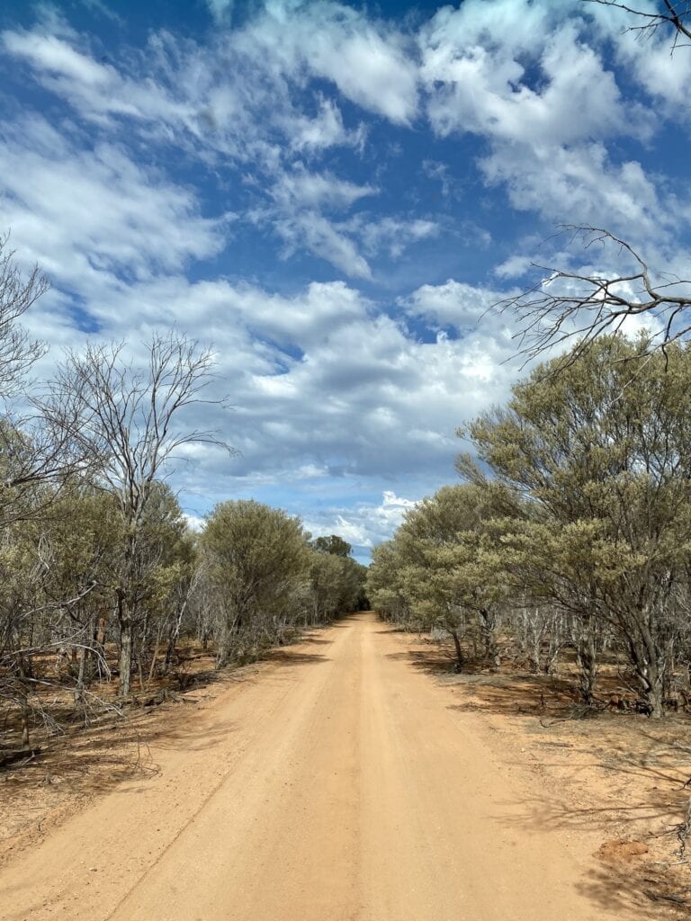 The drive through mulga scrub to Bullock Gorge, Idalia National Park QLD.