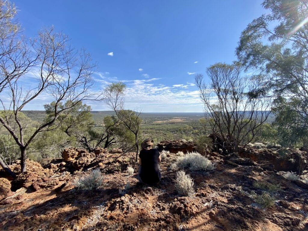 Emmet Pocket Lookout, Idalia National Park QLD.