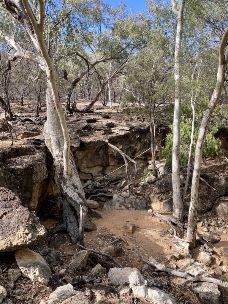 Murphys Rockhole, Idalia National Park QLD.