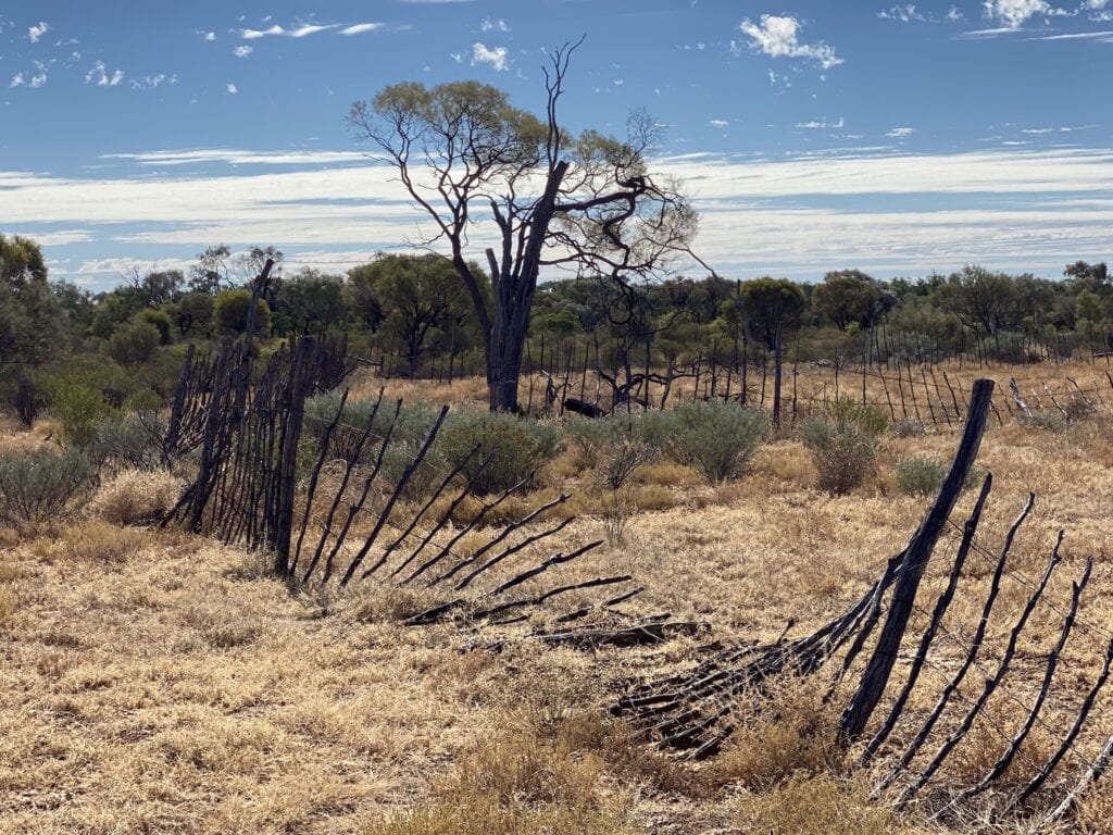 An unusual stake stockyard at Idalia National Park, QLD.