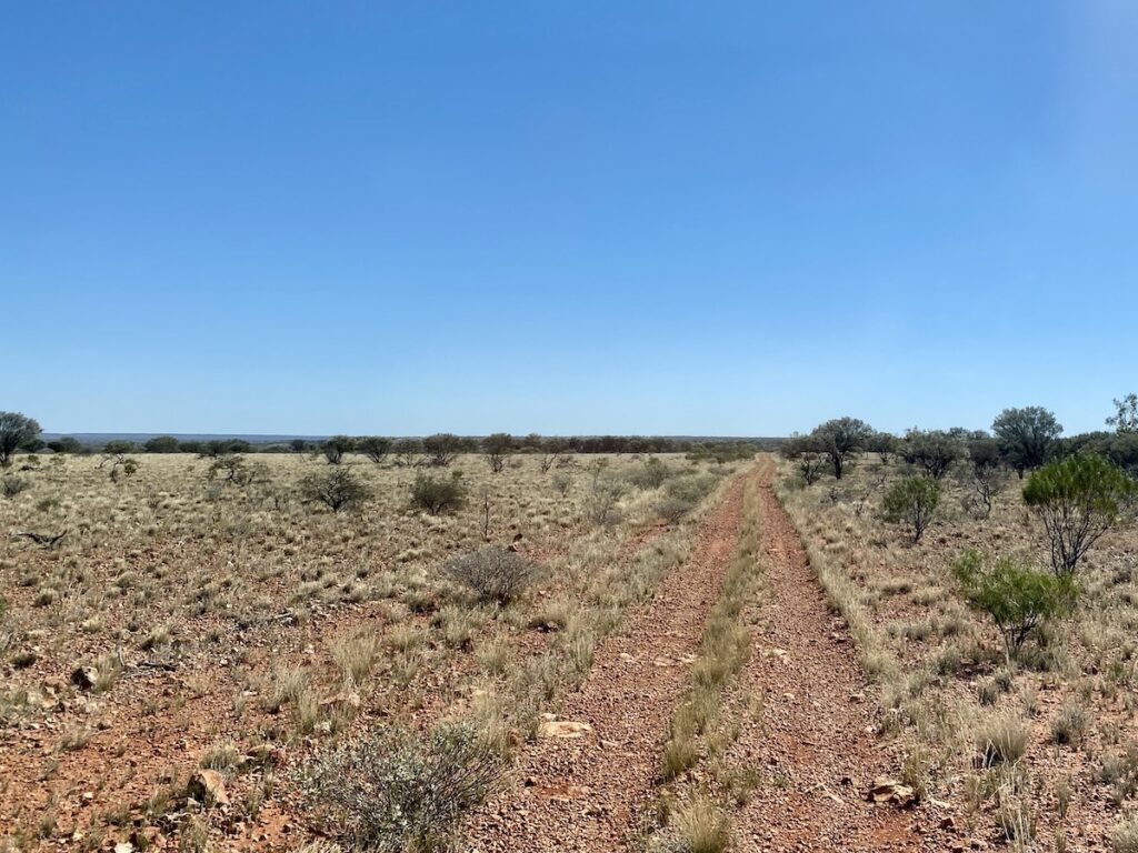 Hoods Range on Beefwood Road, Currawinya National Park QLD.