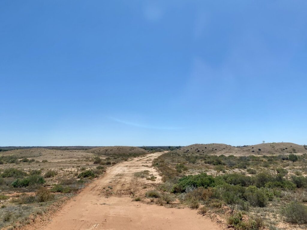 Boorara Mound Springs, Currawinya National Park QLD.