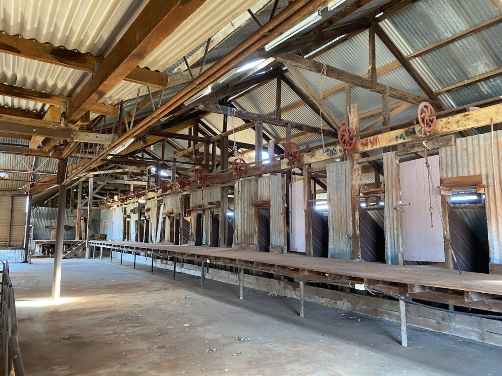 Inside Boorara Woolshed, Currawinya National Park QLD.