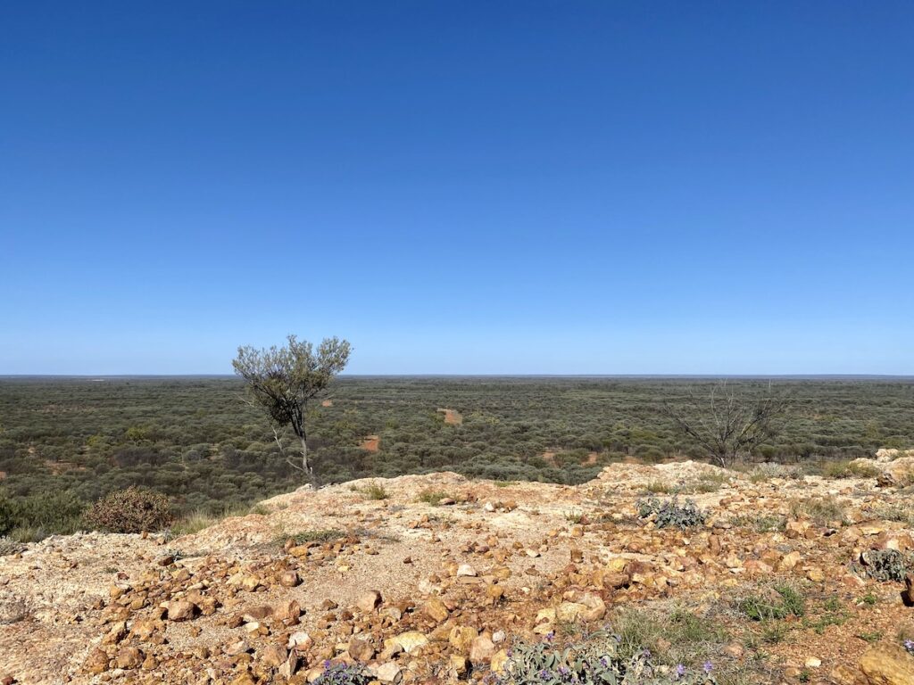 The expansive view from Budjiti Lookout, Currawinya National Park QLD.