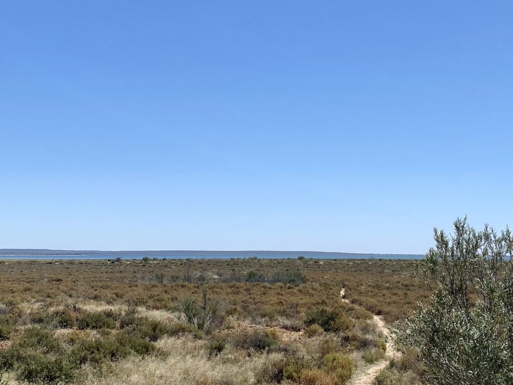 Lake Wyara, Currawinya National Park QLD.