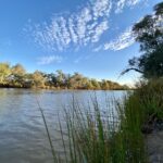 The Paroo River in Currawinya National Park QLD.