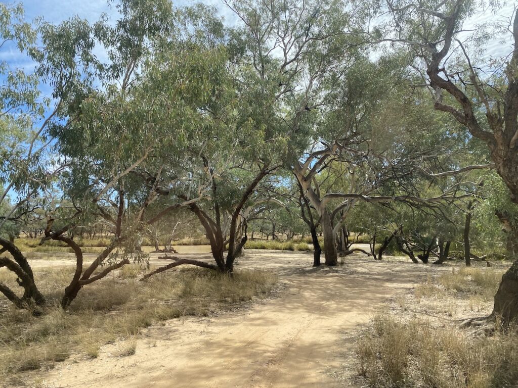 Pump Hole Campground, Currawinya National Park QLD.