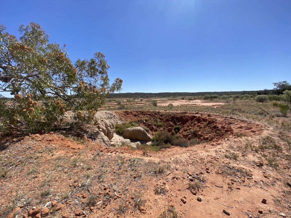 A dry mound spring at The Granites, Currawinya National Park QLD.