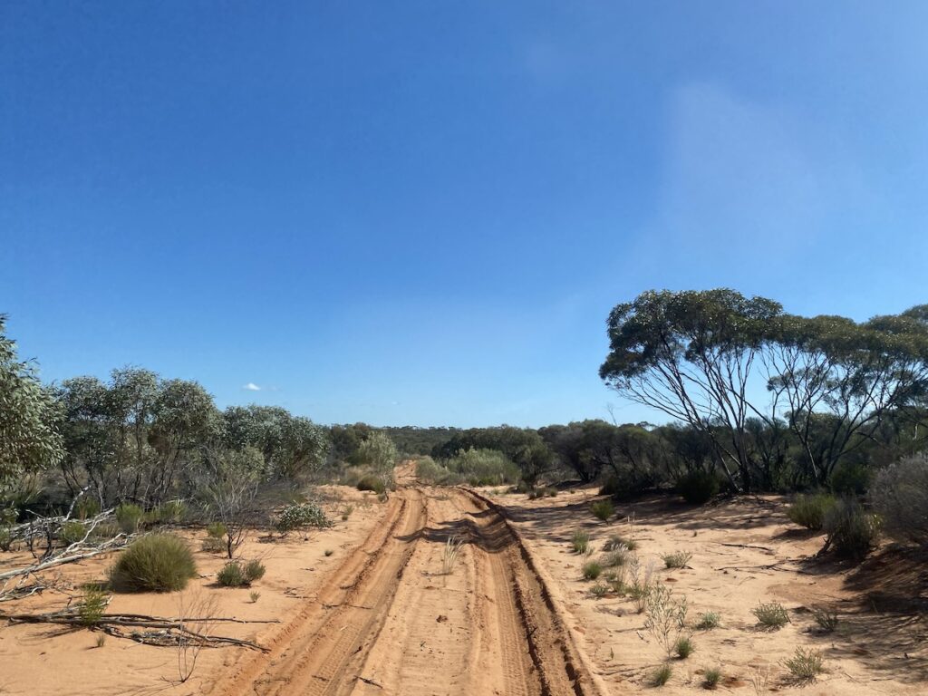 Driving over sand dunes, Danggali Conservation Park, South Australia.