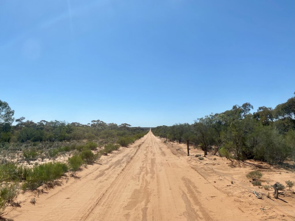 The track between Renmark and Danggali Conservation Park, South Australia.