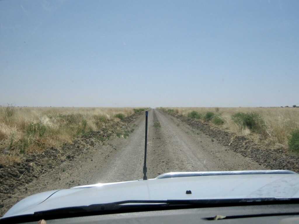 The Birdsville Inside Track crosses the vast Goyder Lagoon, part of the Diamantina River system.